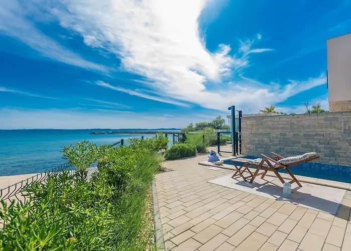 Miri Lavender بريفلاكا