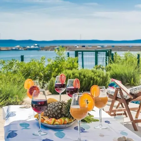 Miri Lavender * Privlaka (Zadar)